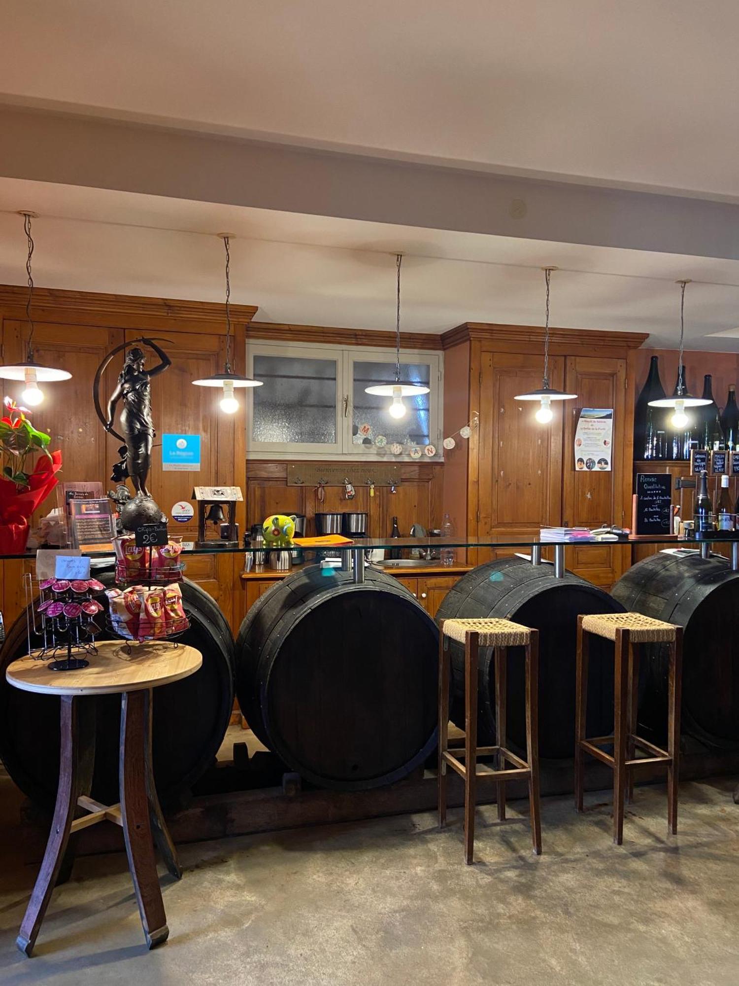 Chénas 莱斯德桑纳豪华旅馆酒店 外观 照片